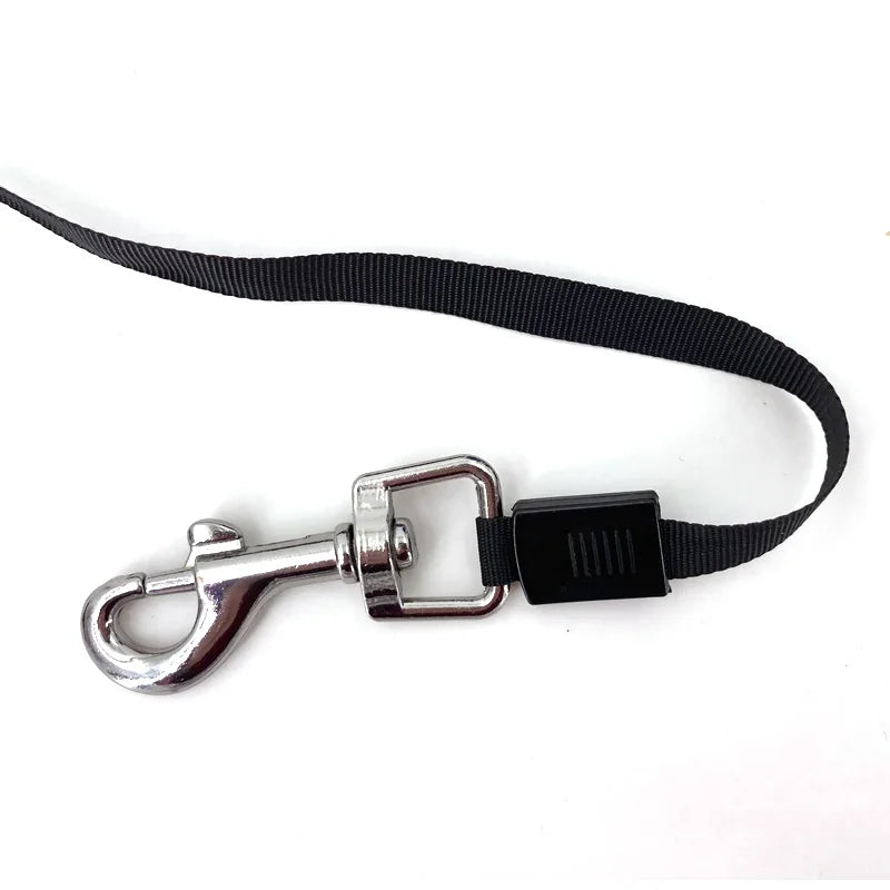 Einziehbare Hundeleine von YOUSE mit ergonomischem Griff – 3m oder 5m Rollleine für kleine Hunde und Katzen.